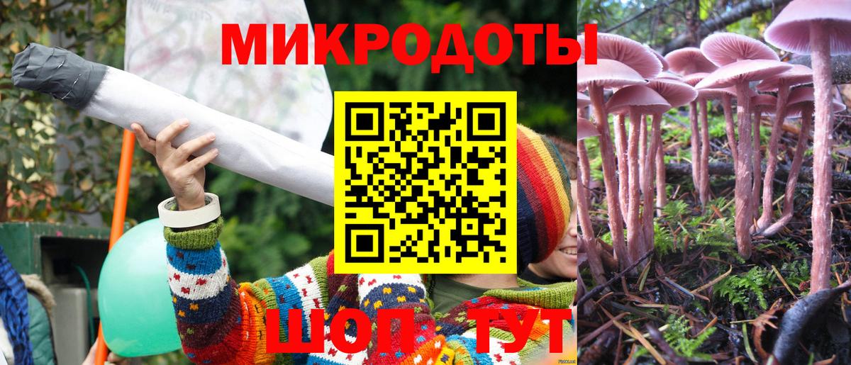 Галлюциногенные грибы MAGIC MUSHROOMS Ленинск-Кузнецкий